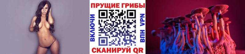 Купить закладки  Макарьев  Псилоцибиновые грибы прущие грибы 
